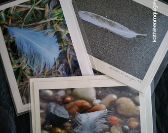 Feather Photo Greeting Cards Blank, Set of 3. Original Photograph, Each Card Art signed, can frame artwork.
