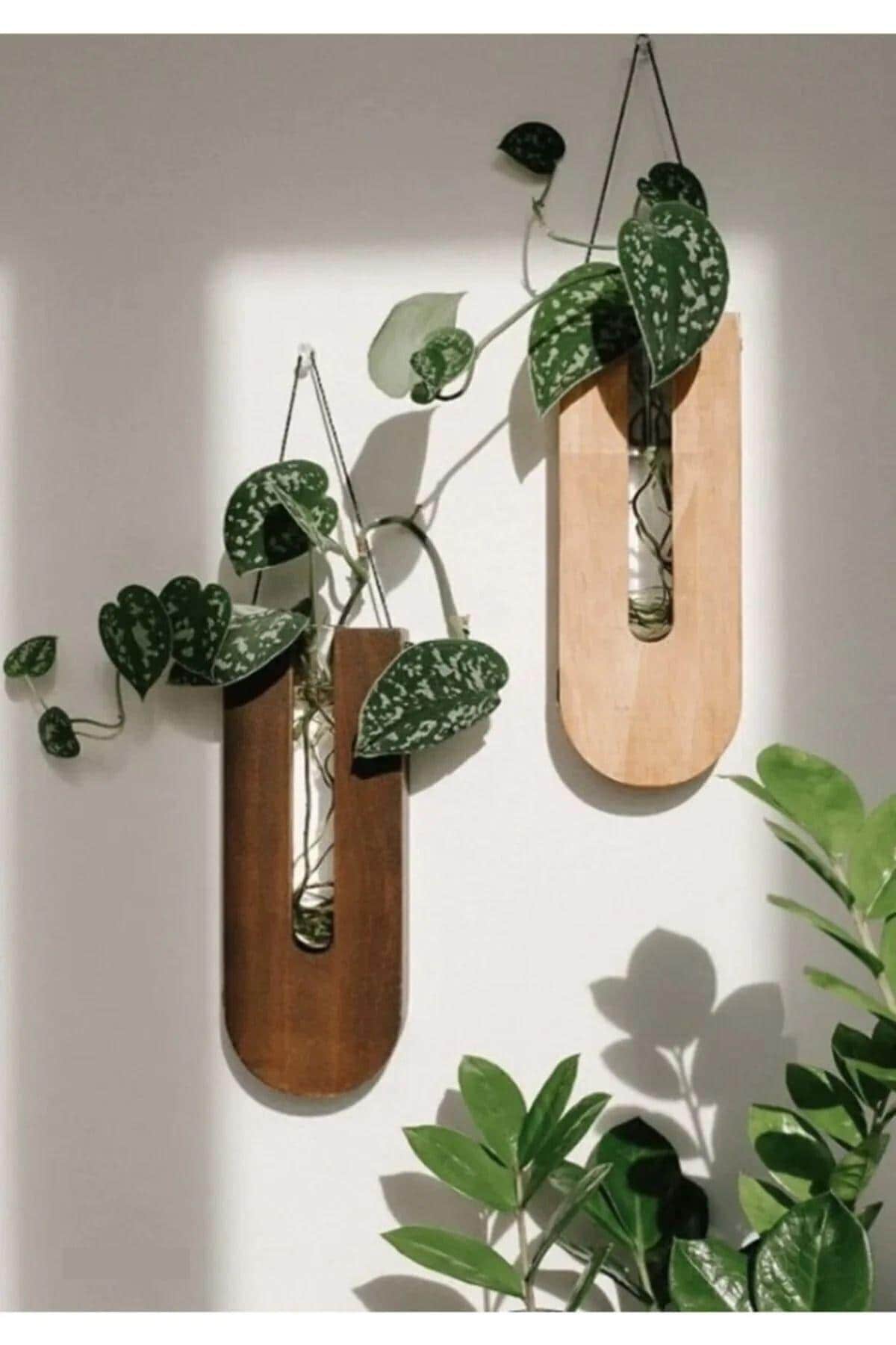 Curated visual reference: Set Of 7 Arched Plant Propagation Wall Planter Propagating Tubes Photo Inspiration