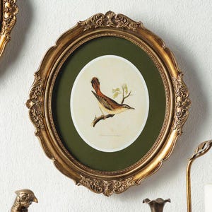 Op de afbeelding: Een ovale wandlijst met een versierde, metallic gouden afwerking met ingewikkelde krullen en bloemmotieven. De lijst bevat een donkergroene passe-partout rondom een cirkelvormige print van een kleine bruine vogel op een tak.