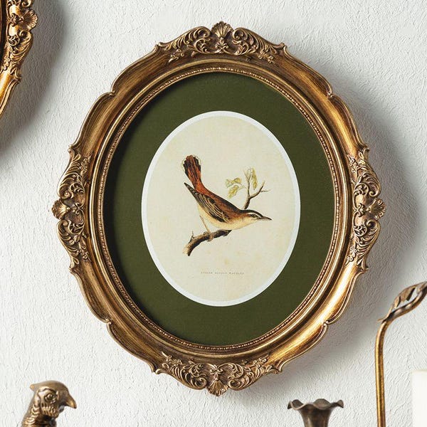 Arte mural botánico vintage de pájaro reyezuelo: marco ovalado dorado ornamentado, decoración verde oscuro