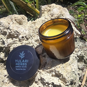 Arnica Salve – Natural Relief for Bruises, Sore Muscles & Joint Pain – Herbal Healing Balm