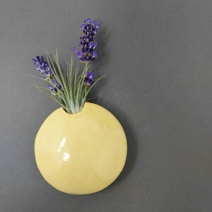 May include: A circular, glossy yellow ceramic wall vase containing a small air plant and several sprigs of purple lavender. The vase has a smooth, rounded surface with a single opening at the top where the botanical elements are arranged.