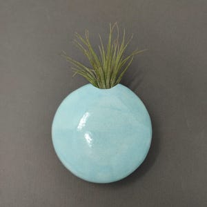 May include: A round, light blue ceramic wall planter with a smooth, glossy finish. The planter features a small opening at the top, from which a spiky, green air plant emerges. The object has a rounded, pebble-like shape and a reflective surface.