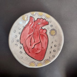 Anatomical Heart Trinket Dish - Etsy
