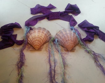 Mermaid Sea Shell Bra