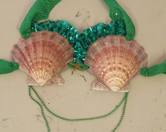 Mermaid Sea Shell bra