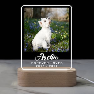 Light up Pet Memorial Gift, Custom Pet Photo Night Light, Dog Memorial Keepsake, Pet Bereavement, Pet Loss Sympathy Gift, Gift for Pet Lover