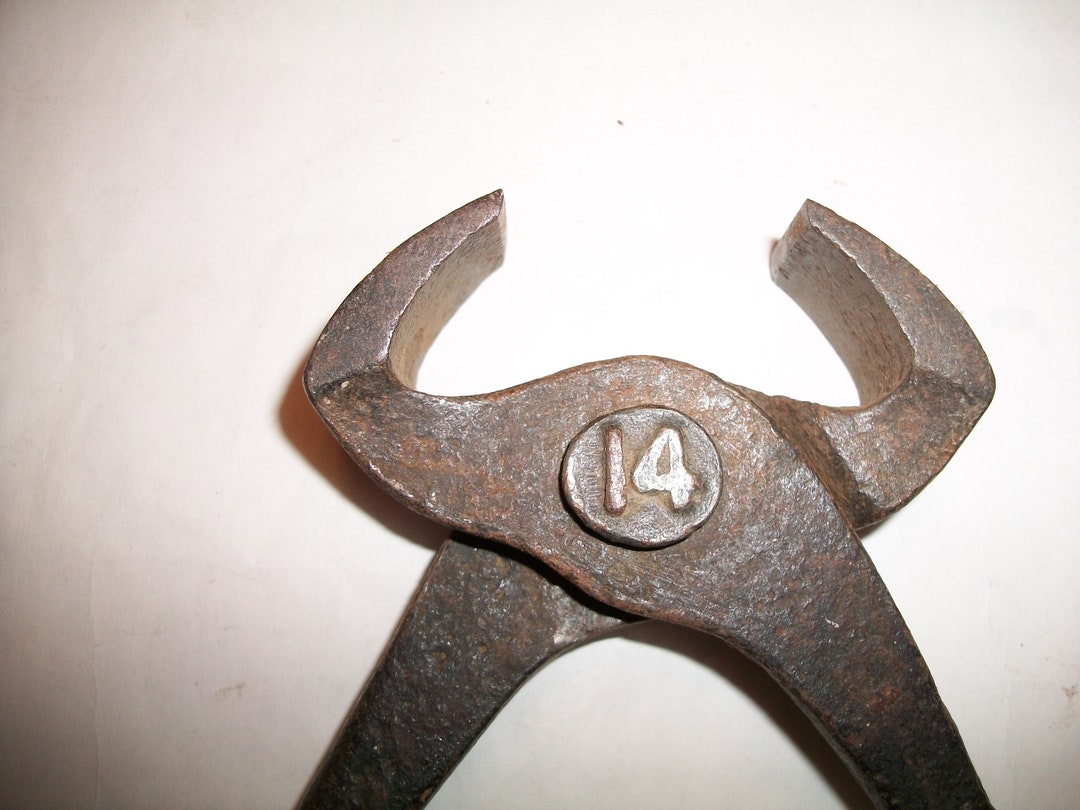 1914 Rivet on Antique Farrier Tool---8