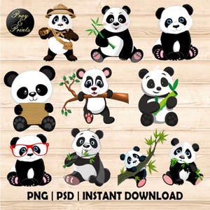 Panda Bear Cute Animal Forest Illustration, Digital Print, Printable, Sticker Template, Clipart, Instant Download, svg, png, jpg, psd
