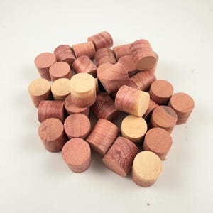 May include: A pile of small, cylindrical wooden plugs in varying shades of brown and tan. The plugs appear to be made of natural wood, with visible grain and texture. They are likely used for woodworking or craft projects.