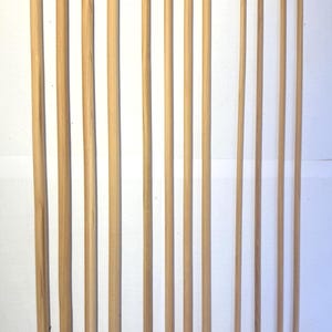 May include: Eleven wooden dowels of varying lengths are arranged vertically against a white backdrop. The dowels are a light brown colour, with visible wood grain. The dowels are cylindrical and appear to be new.
