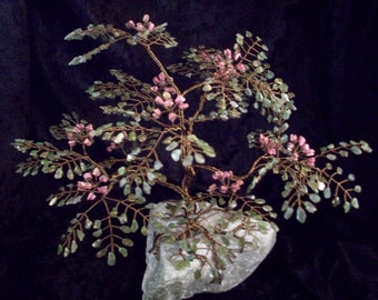 Mimosa Gem Tree