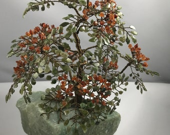 Royal Poinciana Gem Tree