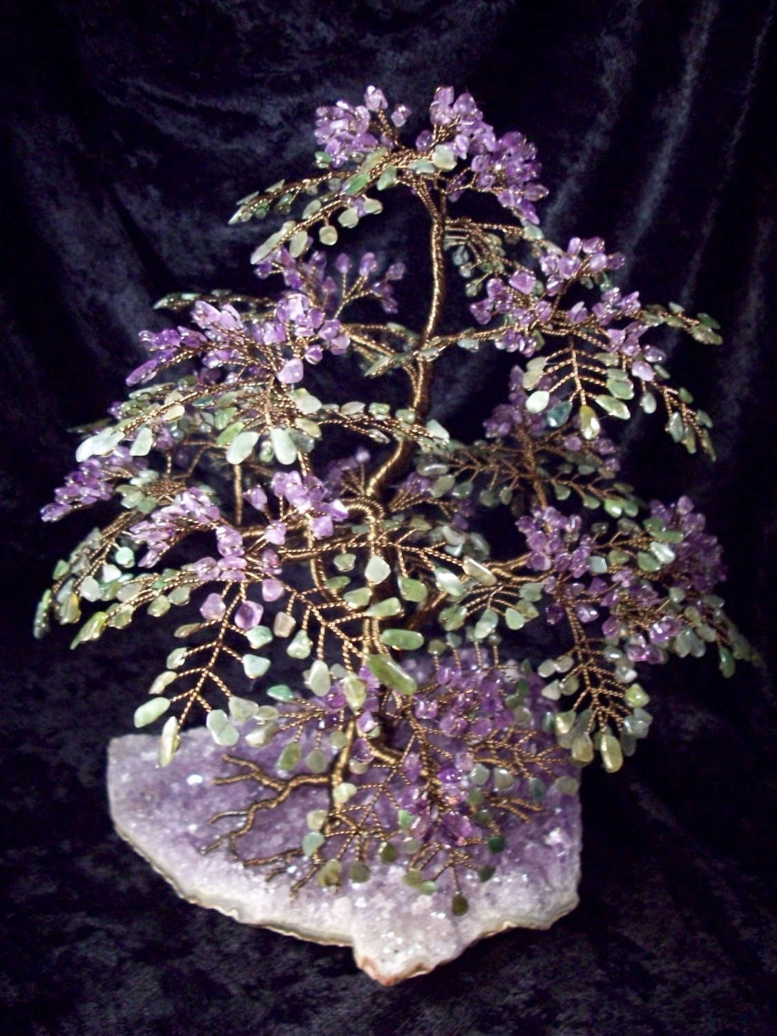 Stunning Jacaranda Tree