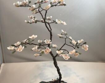 Dogwood