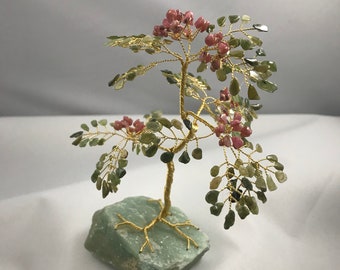 Miniature Mimosa Gem Tree