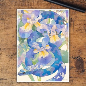 Capas para cartas: Cobra na flor Capas de alta qualidade, adequadas para todos os tcgs Brilho de alta qualidade