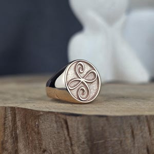 A detailed product photograph of a modern rose gold Zibu signet ring. The oval face contains the stylized friendship loop, giving it a guardian angel or spiritual-crest feel. The pink gold metal gleams softly, highlighting the polished edges and the fine stippling inside the shield as the ring stands on a dark wood block.
