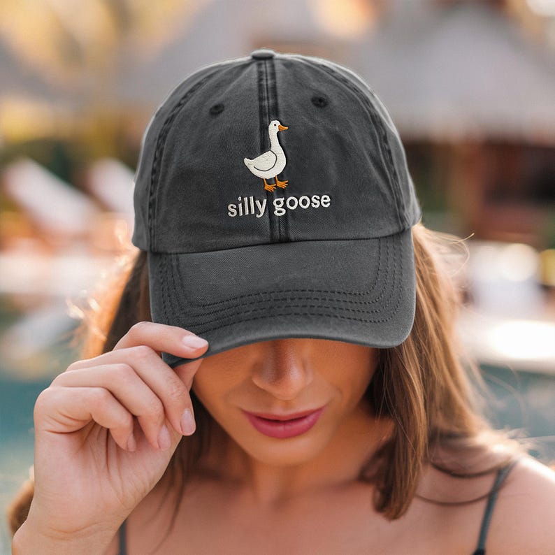 May include: A dark gray baseball cap with a white goose and the text "silly goose" embroidered on the front.