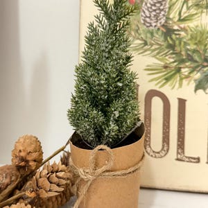 May include: A miniature artificial Christmas tree in a brown paper pot, tied with twine. The tree is green with a dusting of white, and sits in front of a decorative sign with pine cones and the word "HOL". Several pine cones are in the foreground.