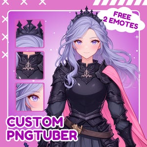 Custom Anime PNGTuber Model: Streaming Avatar Commission