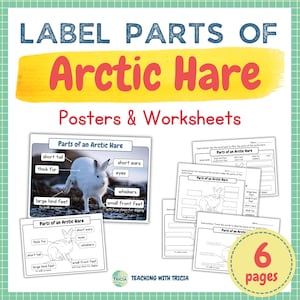 Puede incluir: Un conjunto de 6 hojas de trabajo y carteles imprimibles para enseñar sobre la anatomía de una liebre ártica. Las hojas de trabajo incluyen un contorno en blanco y negro de una liebre ártica con etiquetas para las diferentes partes del cuerpo, como cola corta, pelaje denso, patas traseras grandes, orejas cortas, ojos, bigotes y patas delanteras pequeñas. Los carteles presentan una ilustración a color de una liebre ártica con etiquetas para las diferentes partes del cuerpo.