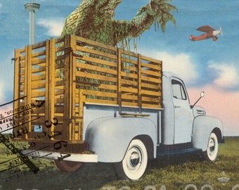 San Antonio Monster Truck