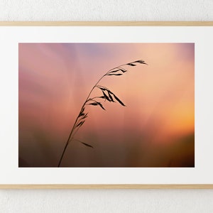 Prairie Sunrise in Nebraska - Landscape Photography with Vibrant Colors -Calm and Peaceful Wall Art