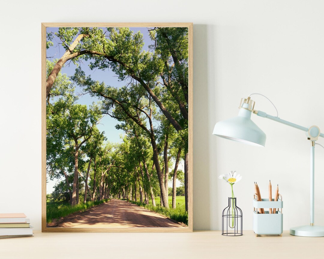 Peaceful Bedroom Wall Art Nature Photography Country Road Full of Trees