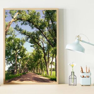 Peaceful Bedroom Wall Art - Nature Photography Country Road Full of Trees