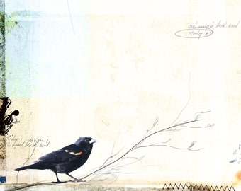 Composition No.3 - giclee print: mixed media and digital illustration on Red Winged Black Birds