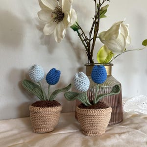 Könnte beinhalten: Zwei gehäkelte Tulpenpflanzen in beigen Töpfen mit hellblauen und blauen Blütenköpfen. Die Pflanzen haben grüne Blätter und braune Erde. Eine Vase mit weißen Blumen und Zweigen befindet sich im Hintergrund.