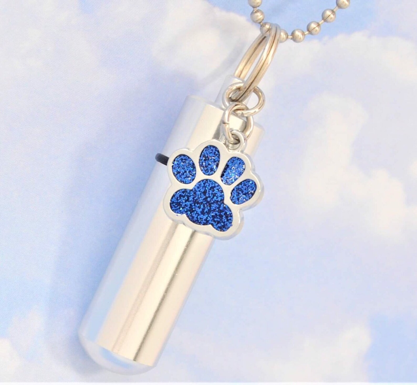 Dog or Cat Ashes Holder Necklace Pet Memorial Keepsake Etsy