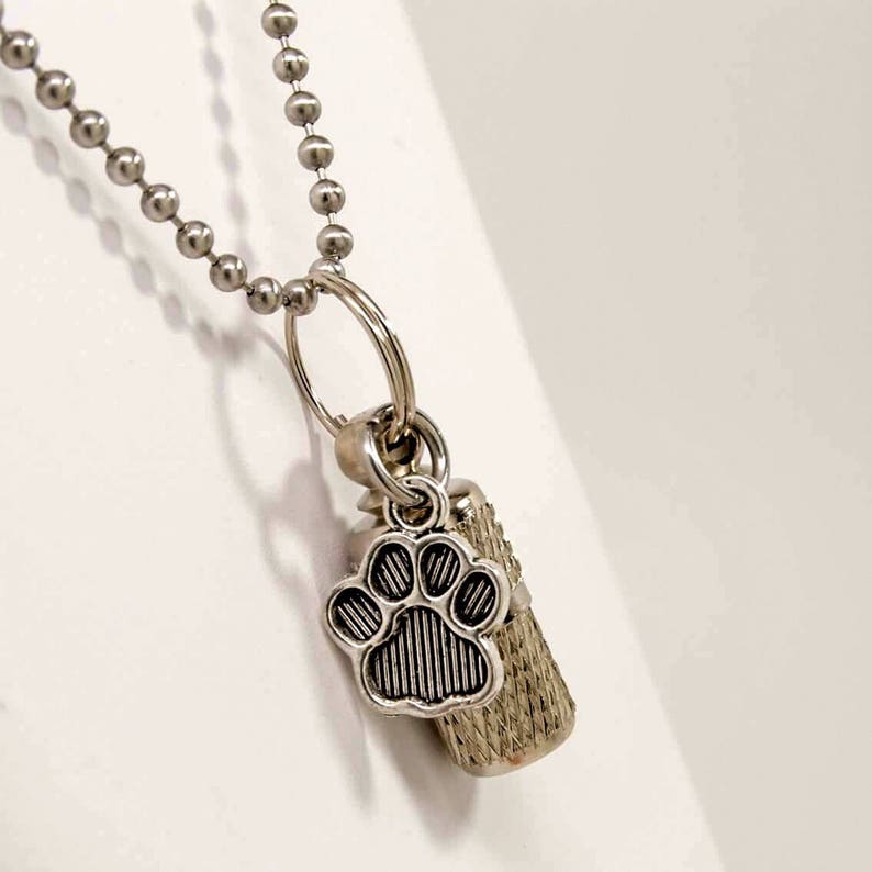 Dog or Cat Memorial Pet Grieving Capsule Urn with Paw Print Charm in Necklace or for Collar