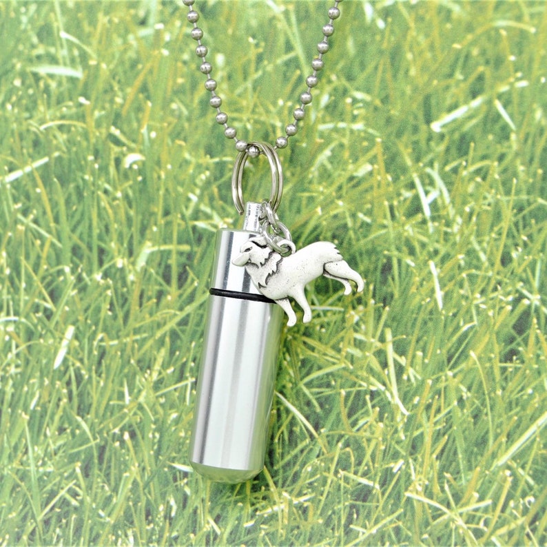 Cylinder Urn with Charm Dog Keepsake Jewelry Border Collie Ashes Holder Necklace