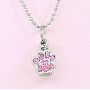 May include: A silver chain necklace with a small silver charm in the shape of a pink glitter paw print.