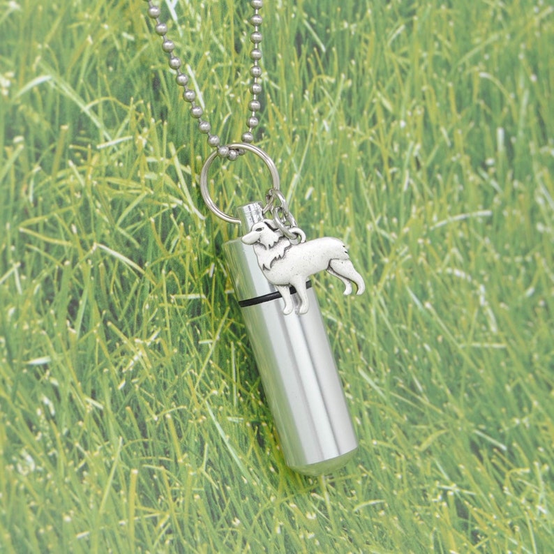 Cylinder Urn with Charm Dog Keepsake Jewelry Border Collie Ashes Holder Necklace