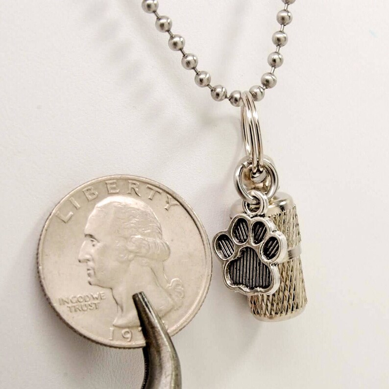Dog or Cat Memorial Pet Grieving Capsule Urn with Paw Print Charm in Necklace or for Collar