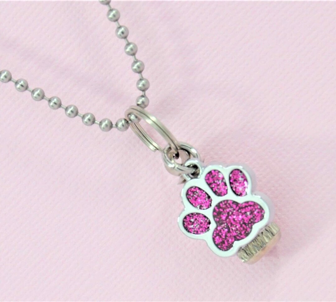 6 Colgantes Identificadores Para Perros Y Gatos - Acero Inoxidable, Impermeables, Con Llavero