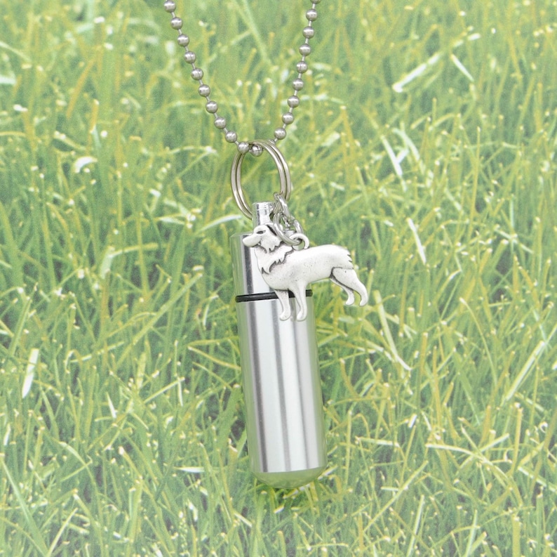 Cylinder Urn with Charm Dog Keepsake Jewelry Border Collie Ashes Holder Necklace