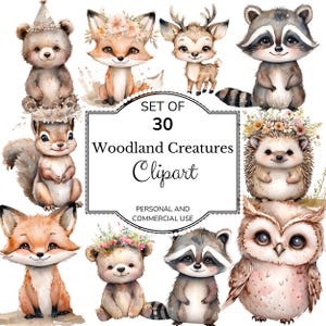Cute Animal Birthday Party Clipart, Woodland Animals Birthday PNG Watercolor Clipart Set, Forest Animals Celebration Clipart