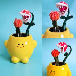 May include: A yellow ceramic plant pot in the shape of a character with a smiling face, holding a cactus and a decorative Piranha Plant with a red and white spotted head. The background is a light blue. The pot has small arms and legs.