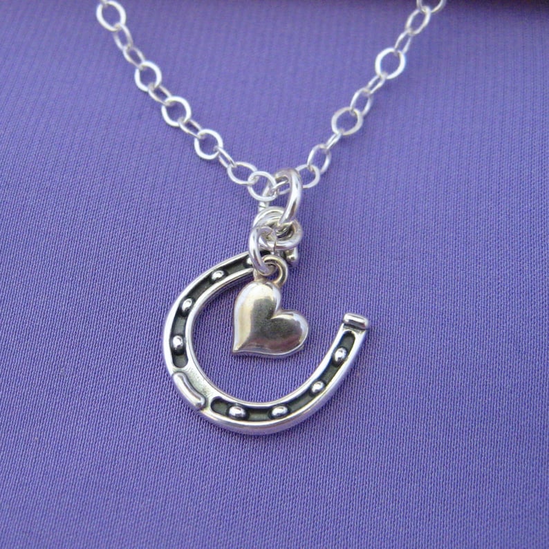 Lucky in Love Horseshoe Necklace in sterling silver