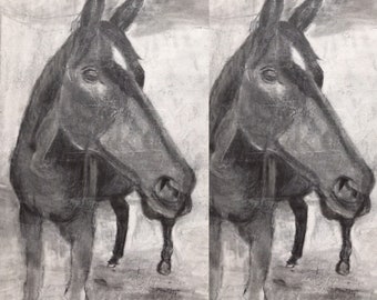 drawing, horse,original,mixed media, charcoal, autumn