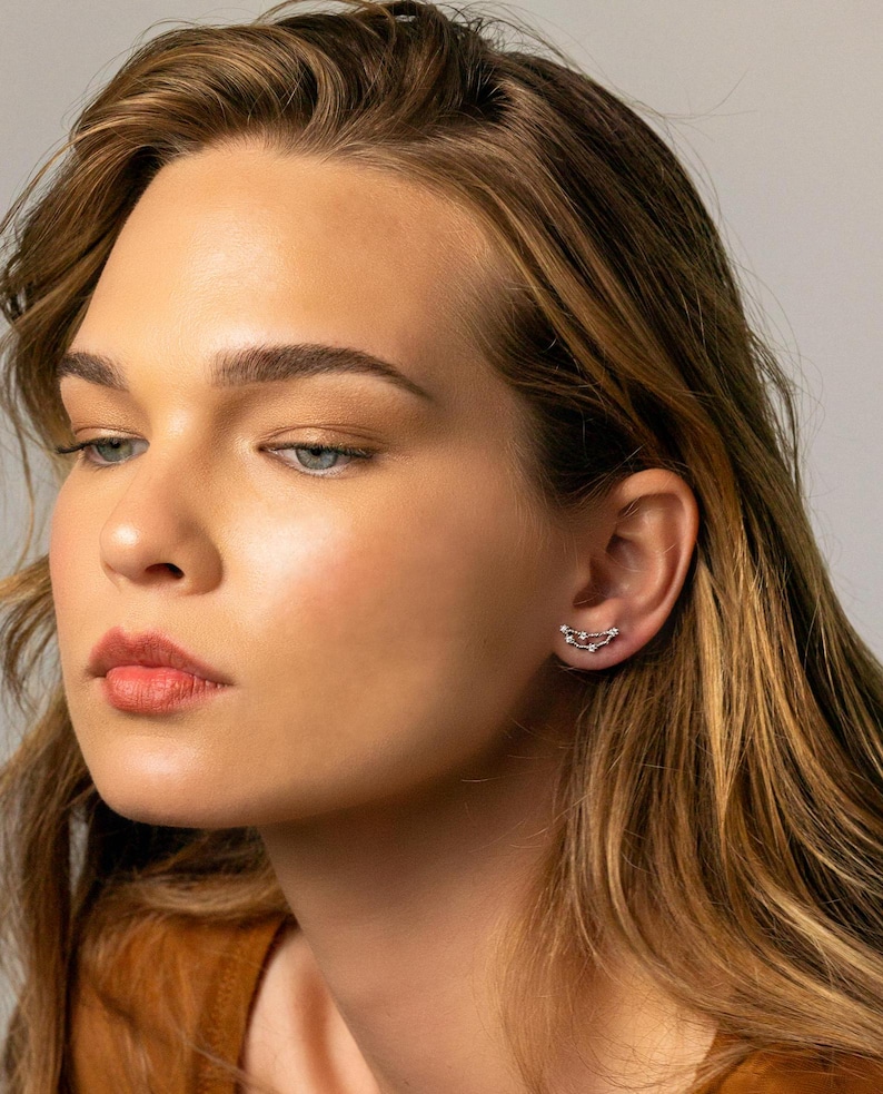 May include: A woman with long brown hair wearing a brown shirt and a small silver earring with a curved design.