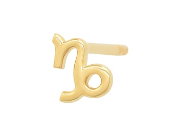 Capricorn Zodiac Stud Earrings: Sterling Silver Astrology Jewelry