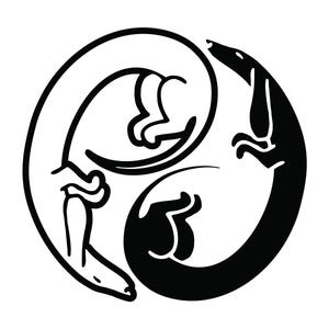 May include: Black and white stylized illustration of two dogs forming a circle. The dogs are facing each other with their tails intertwined.