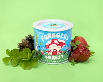 Foragers Forest – Natural Soy Wax Candle – Pinecone and Berry