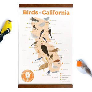 SALE - 11x17 Birds of California Sticker Karte