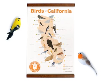 11x17 Birds of California Sticker Map